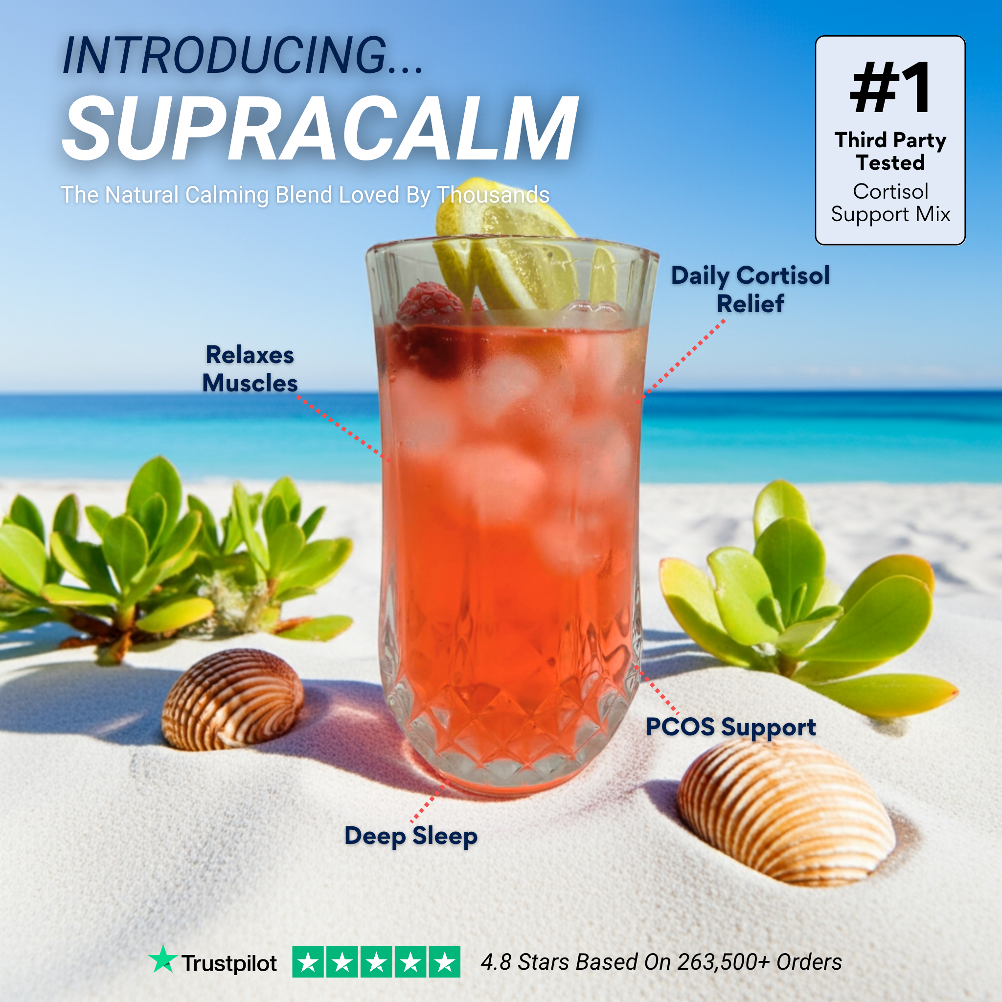 SUPRACALM Raspberry Lemonade Drink Mix
