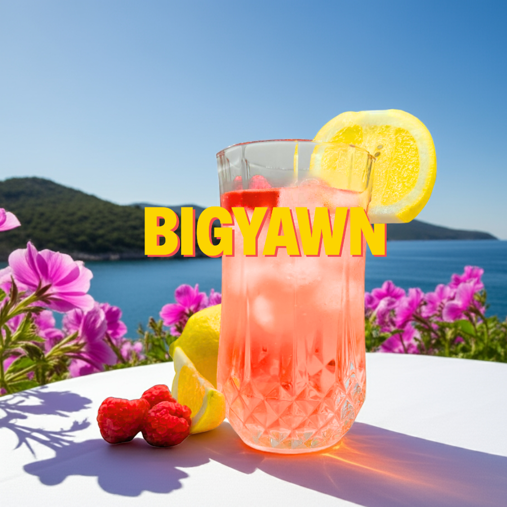 SUPRACALM Raspberry Lemonade Drink Mix
